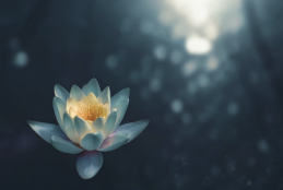 meditatie